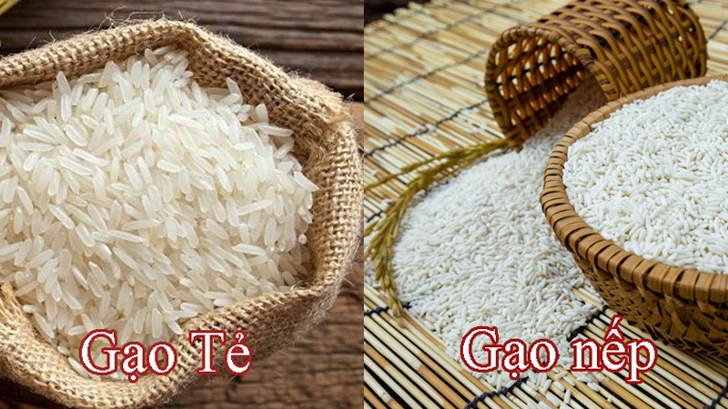 Gạo tẻ là gì? Phân biệt gạo tẻ gạo nếp, giá bán các loại gạo