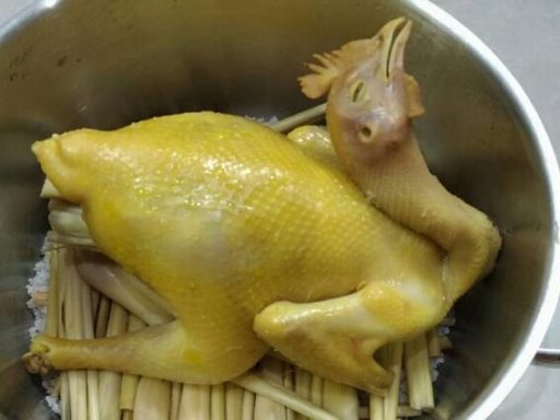 Hấp gà bằng nồi