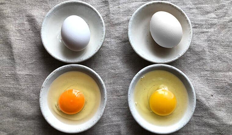 Trứng - Nguyên liệu cần có cho mọi món ngon